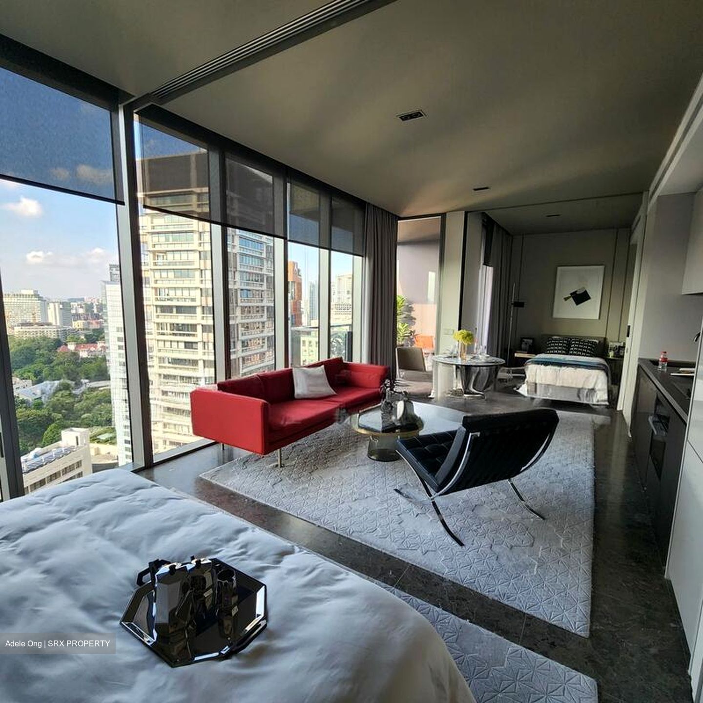 Cuscaden Reserve (D10), Condominium #630933461